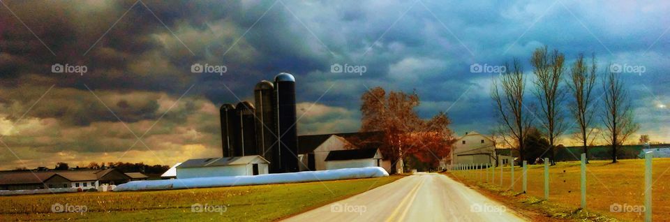 Amish Landscape Roadside