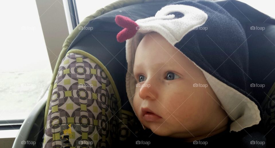 Baby in penguin hat