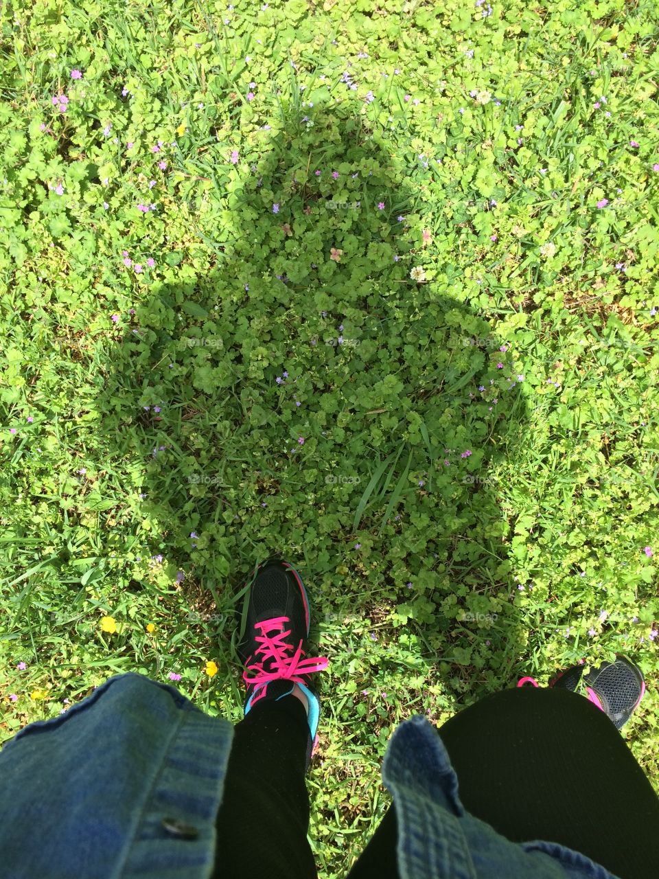 Garden, Leaf, Grass, Flora, Nature