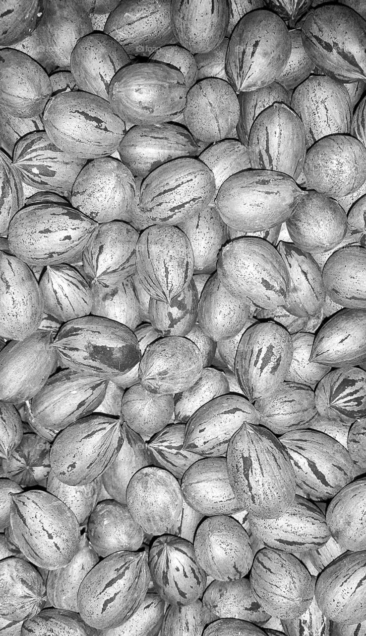 monochrome black and white pile of pecan nuts