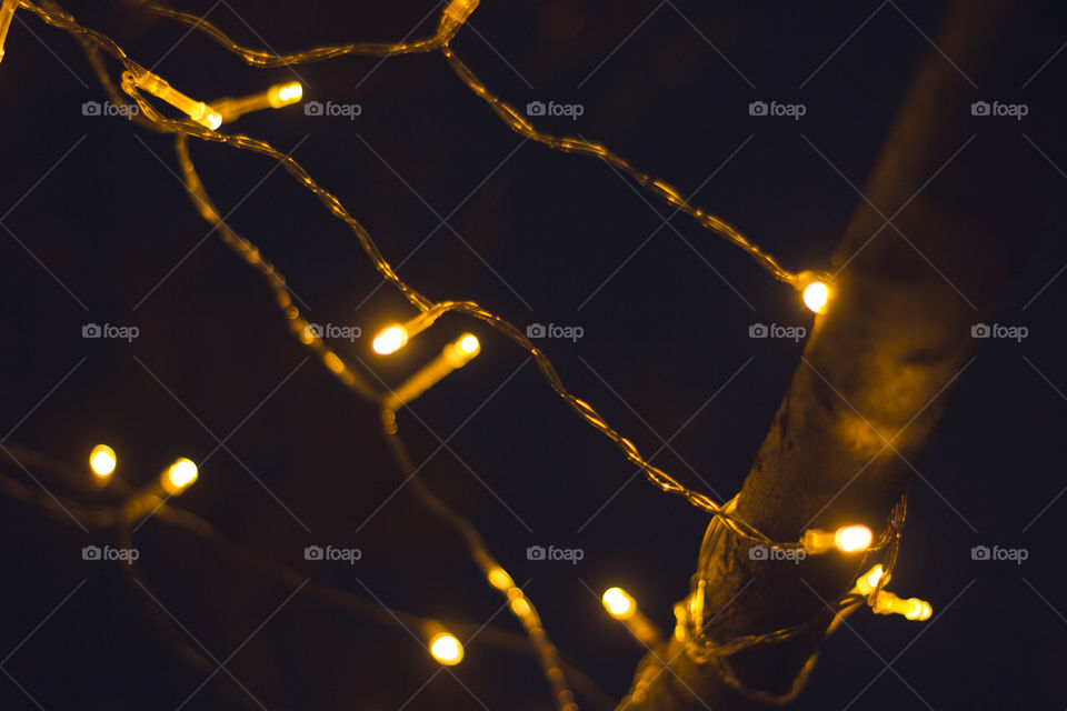 Chritmas lights on a tree