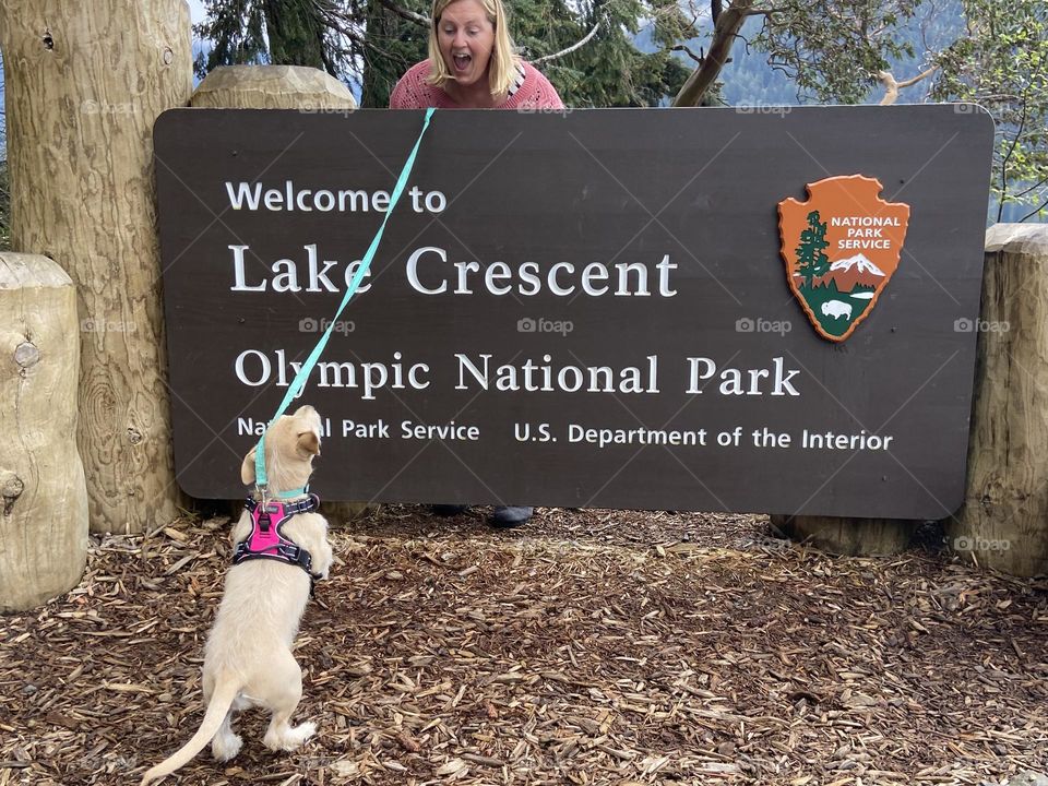 Playing peek-a-boo with the dog at the park