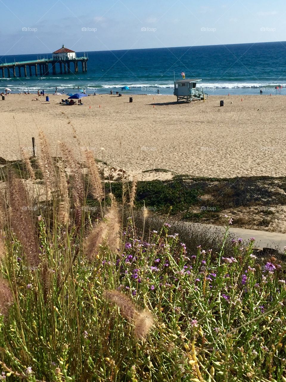 Manhattan Beach Summer