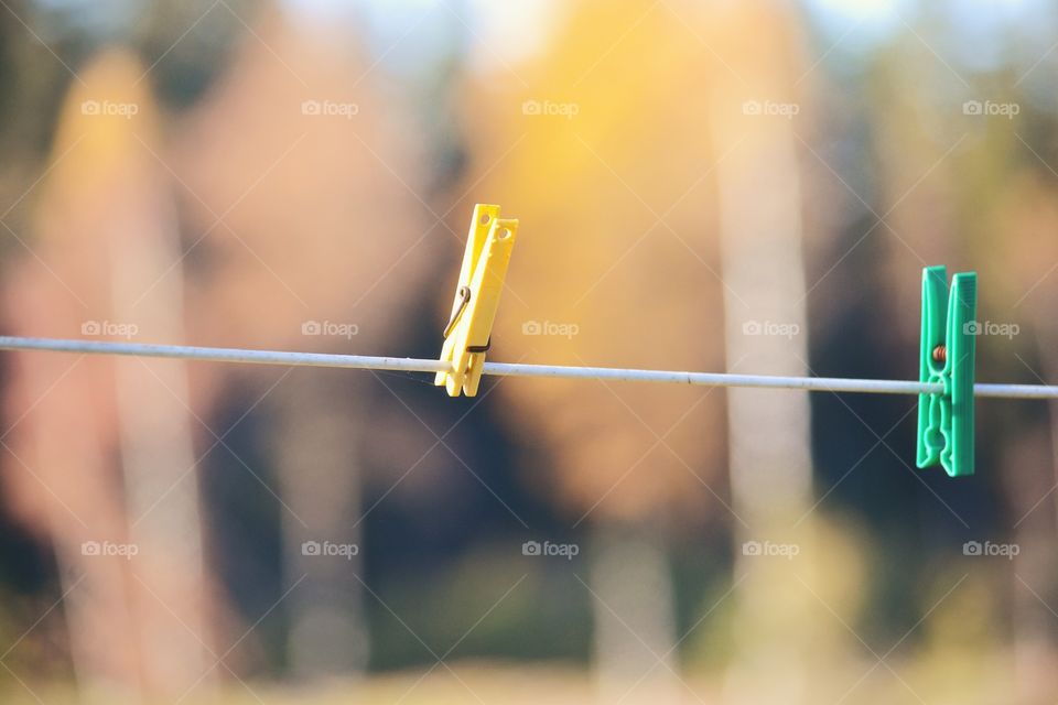 Clothespin, Clothesline, Blur, Rope, Outdoors