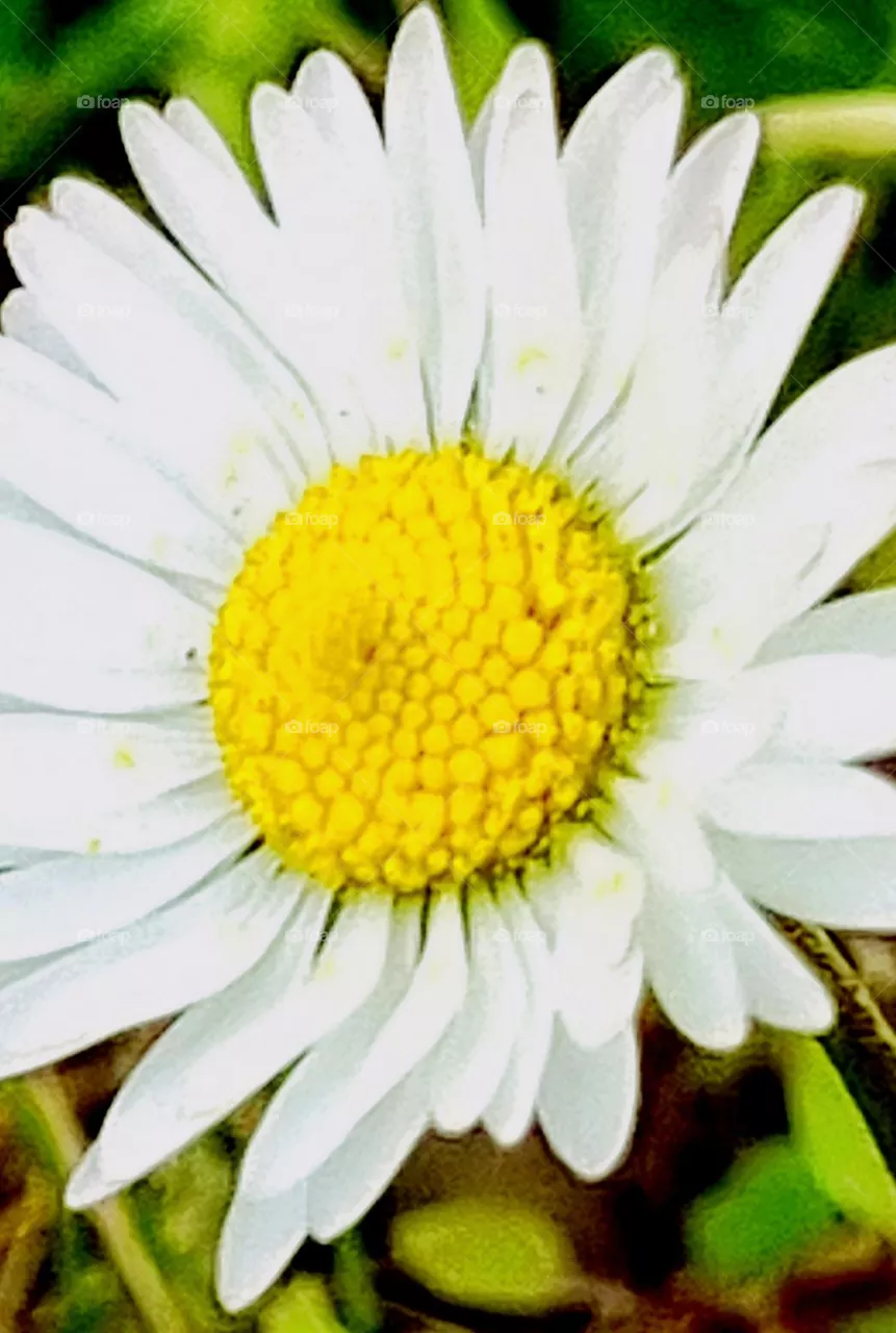 pretty one