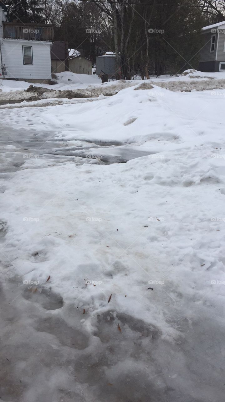 Canada Winter Ice Snow