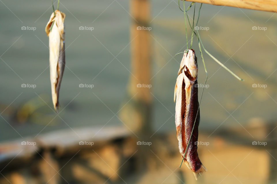 Dried fishes in the sunset 