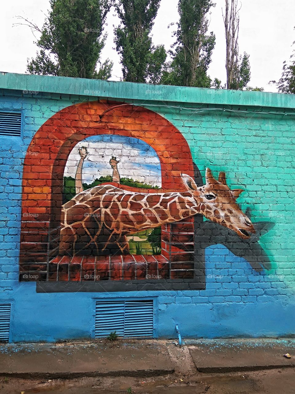 Graffiti.  Street art.