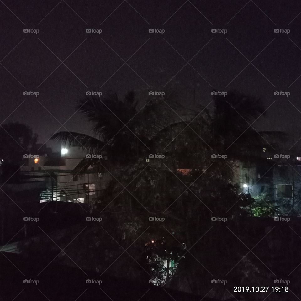 silhouettes and shadows