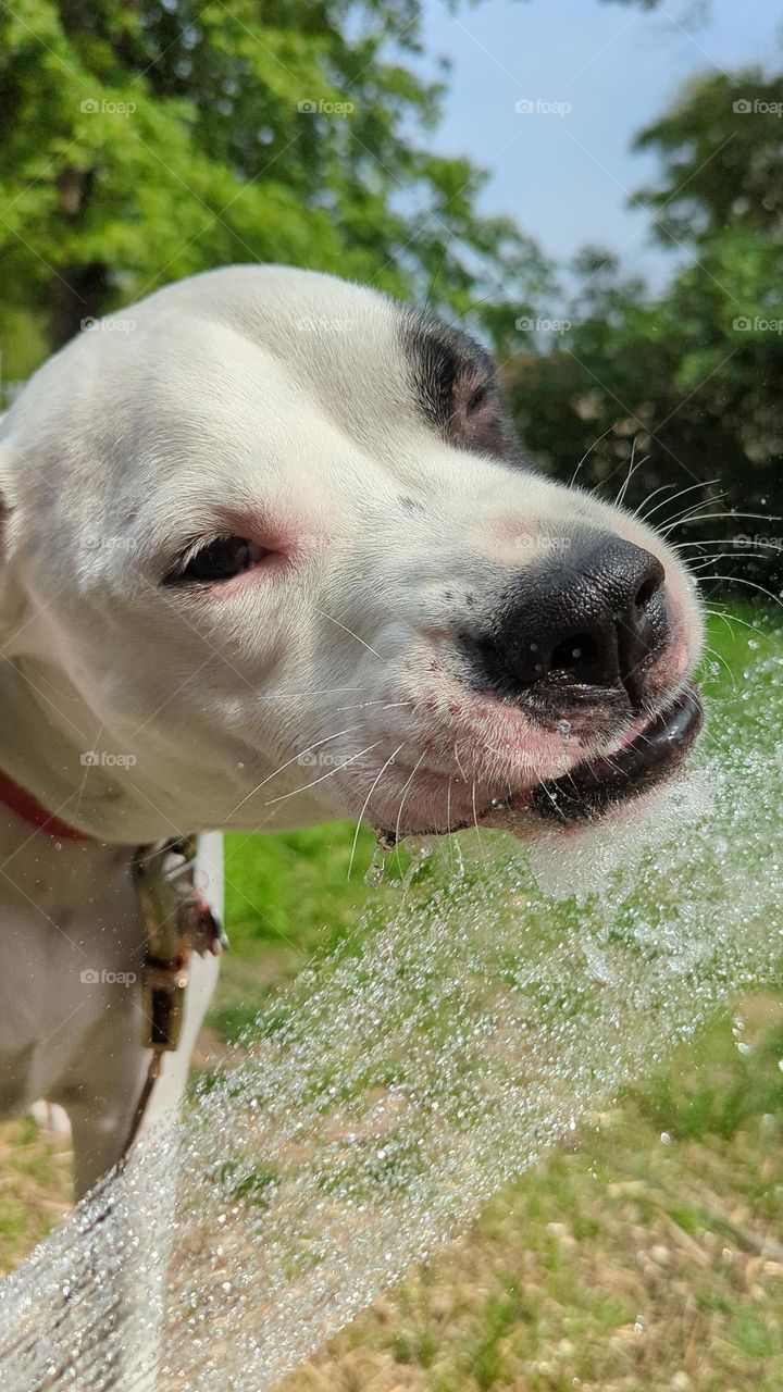 summer is for drinking out of hose