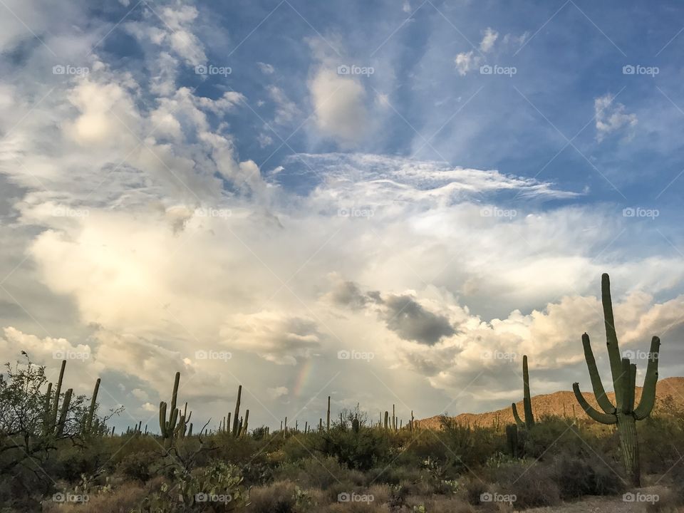 Desert Sky Landscape 