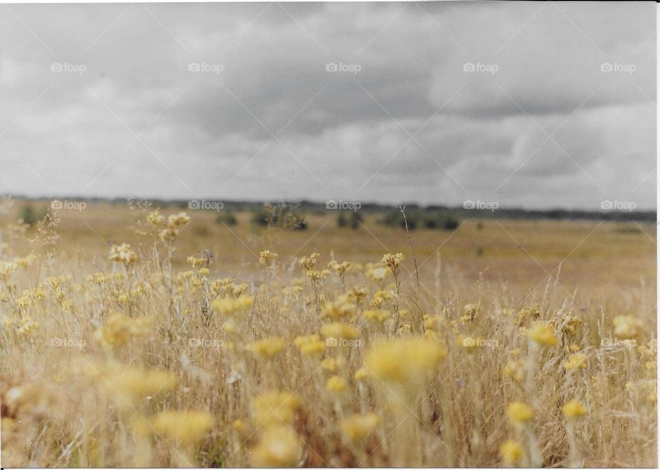 September in Ukraine