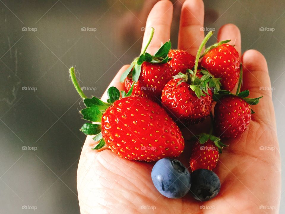 A hand holding juicy fruits