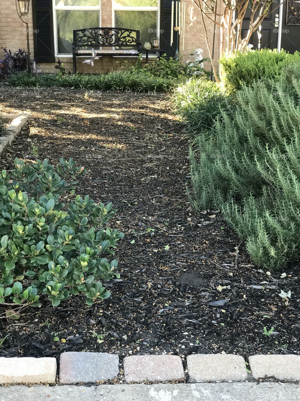 My water efficient Texas yard 