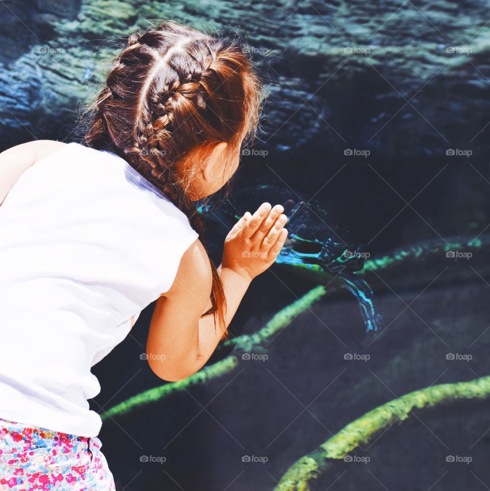 Little girl at zoo high-fiving turtle 