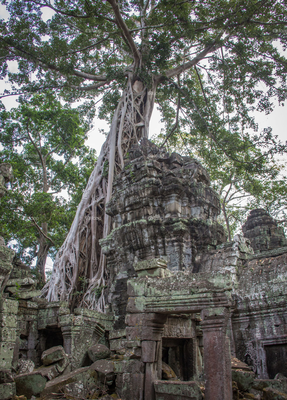 Ta Phrom 