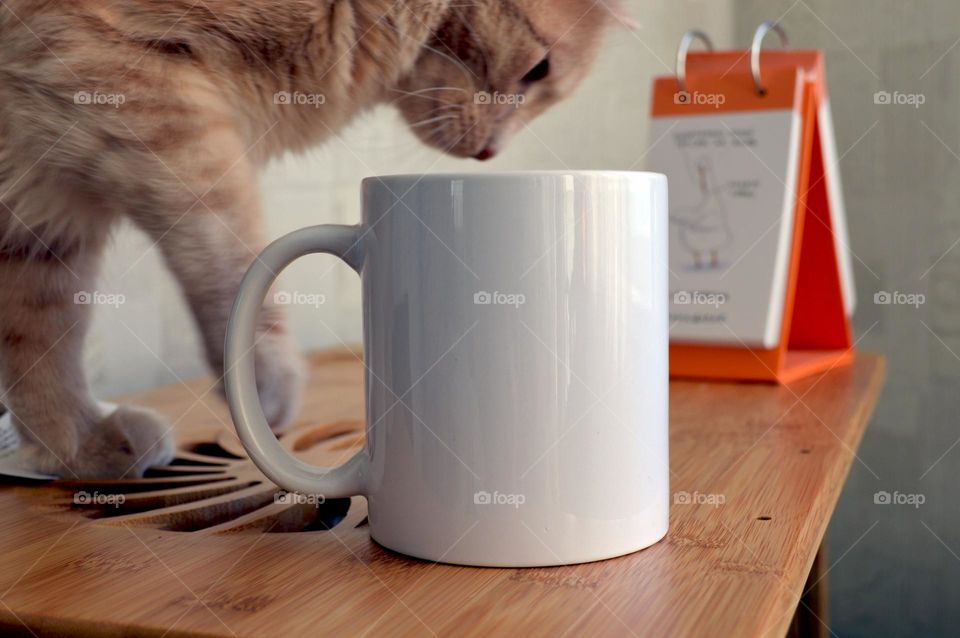 White ceramic cup for applying image and photo