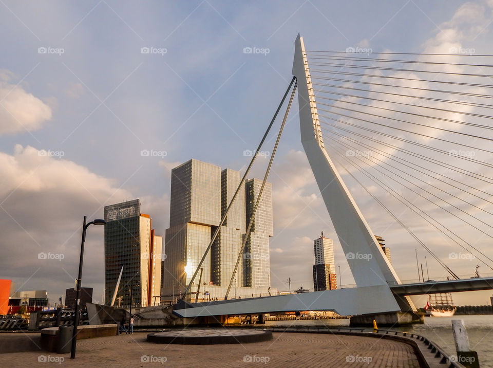 The Erasmus Bridge (Erasmusbrug) in Rotterdam, Netherlands.