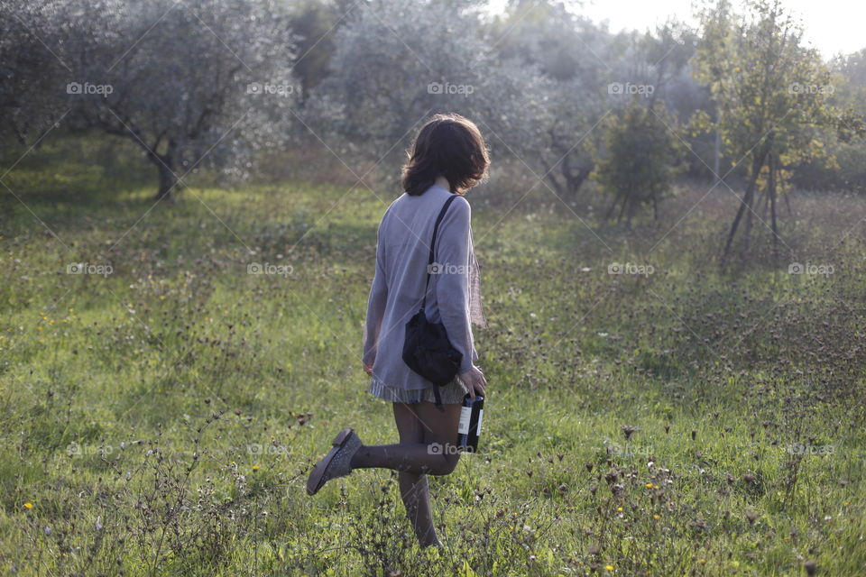 Relaxing time in tuscan olive grove