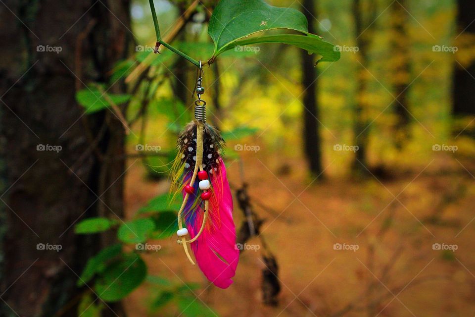 Lost earring. An earring left behind by a hiker.
