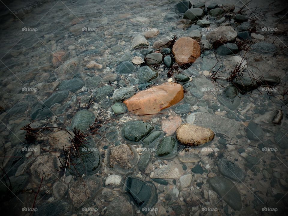 Northern Michigan 