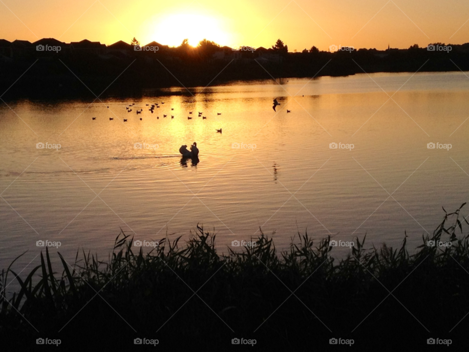 ahhhhhhhh amazing ... llanelli by Ellis