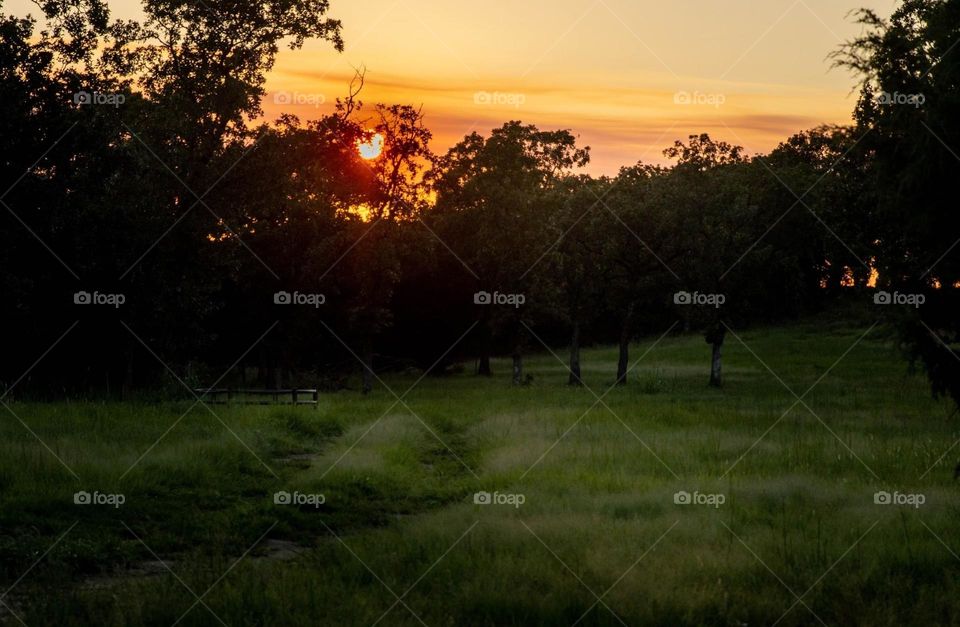 Oklahoma sunset 