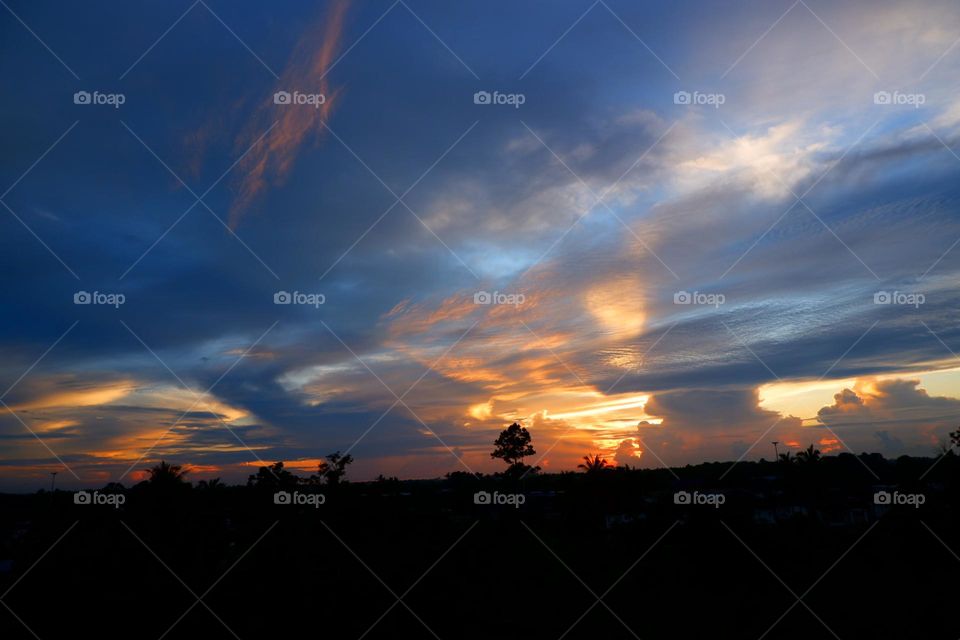 Beautiful light against the background is the sky.