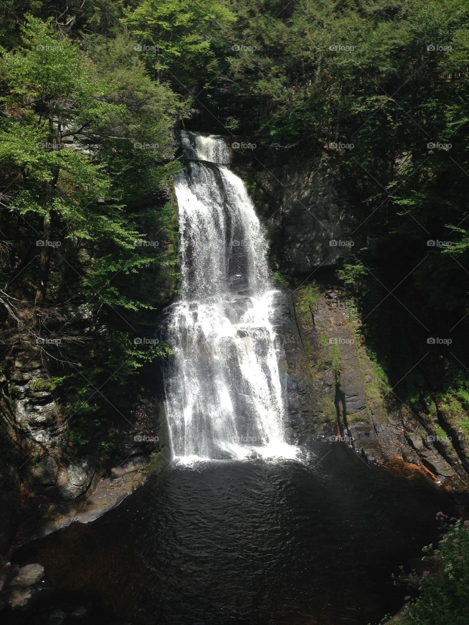 Summer waterfalls 