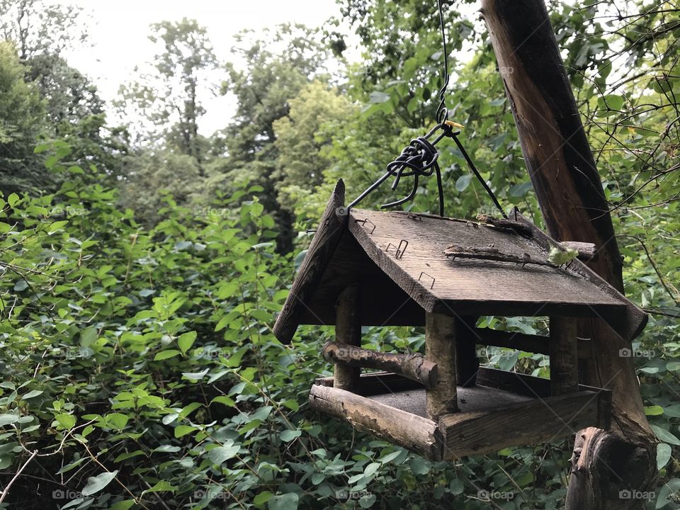A bird house 