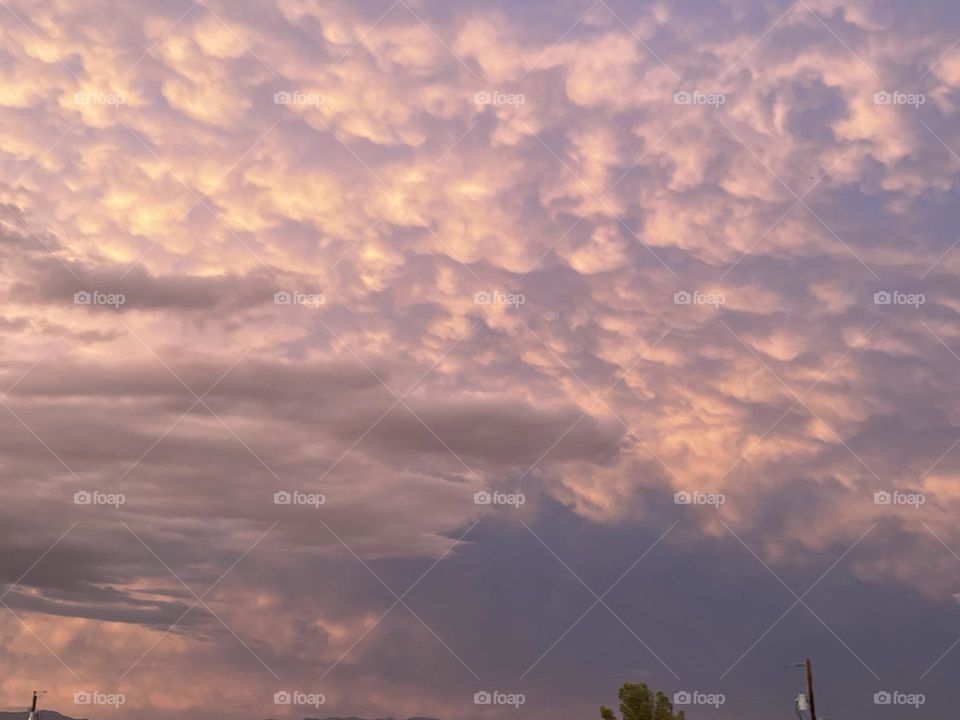 Pink clouds across a blue sky.