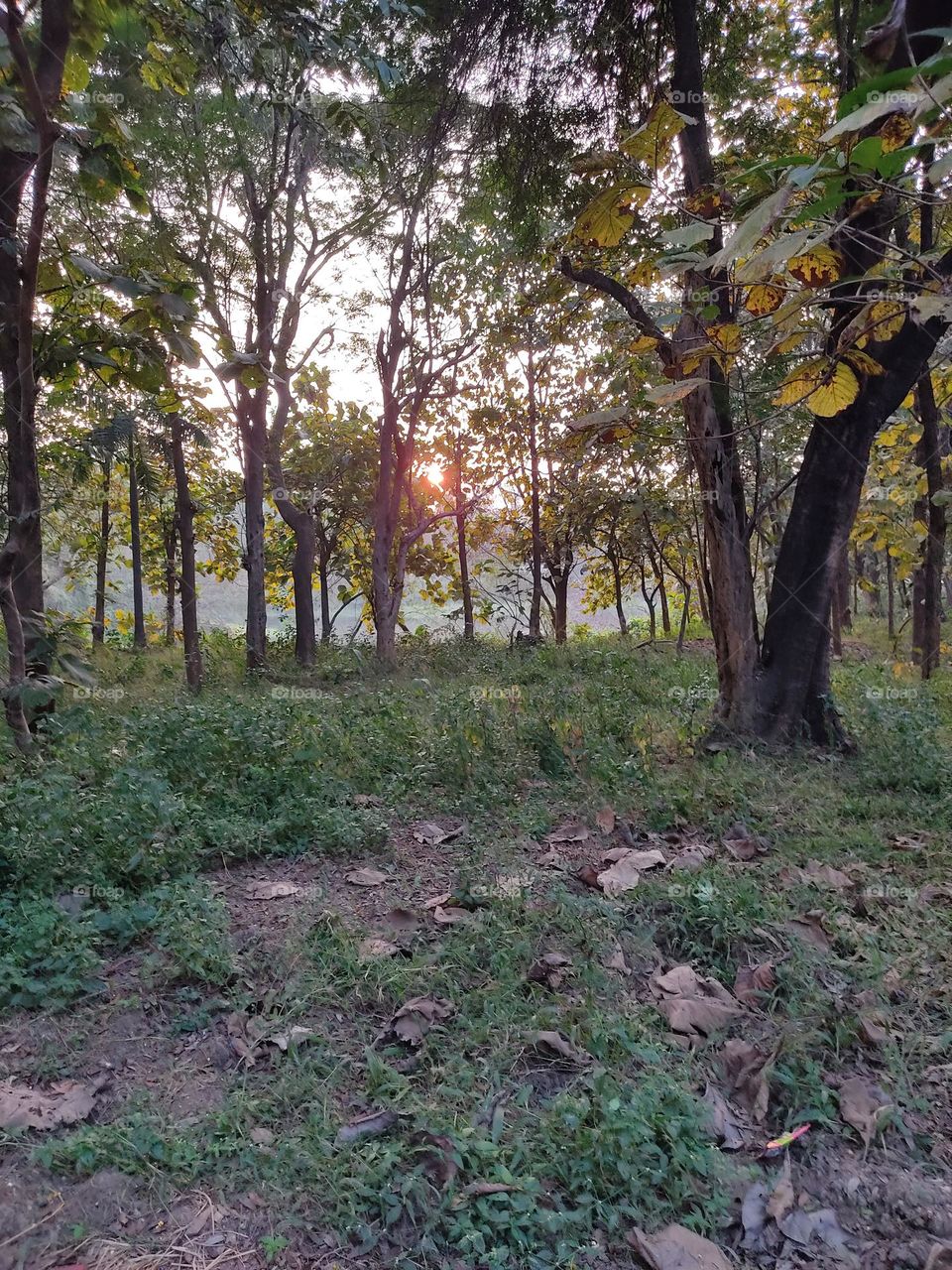 Beautiful😍 Evening🌅