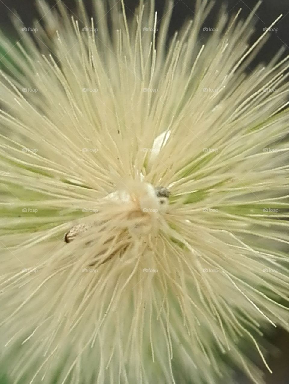 Expanding tiny universe