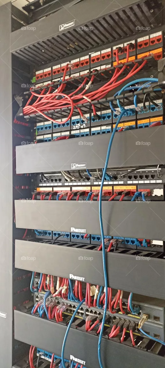 Switch red computo