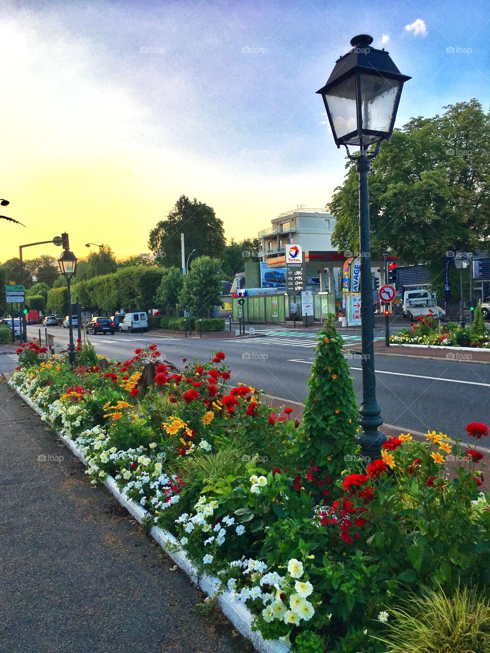 A lamppost, a sunset, a garden 