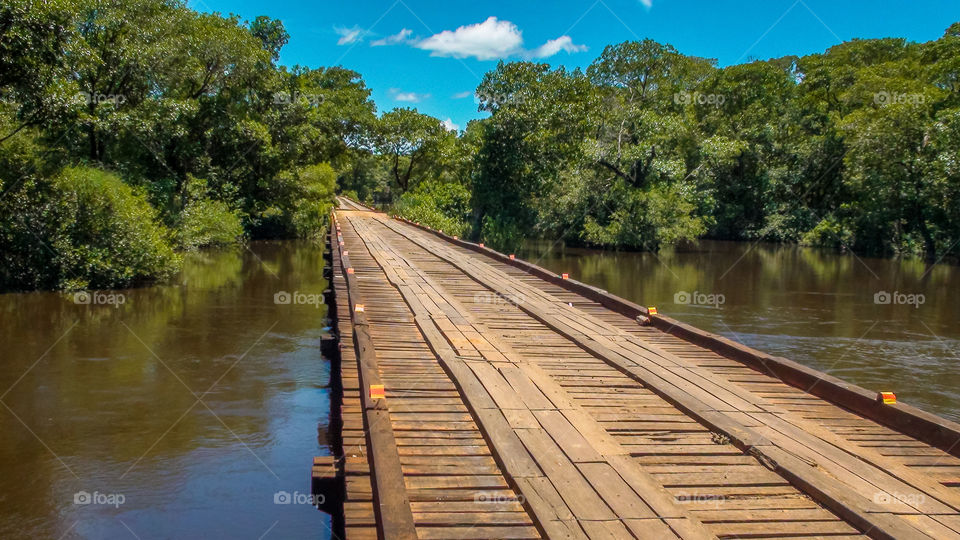 Ponte de madeira no pantanal 