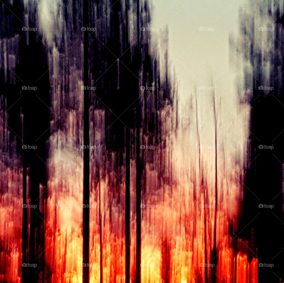 the morning sun sets the forest om fire