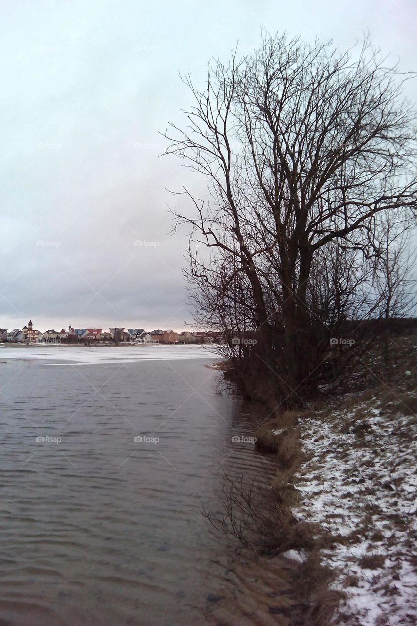 Landscape, Winter, Water, Tree, No Person