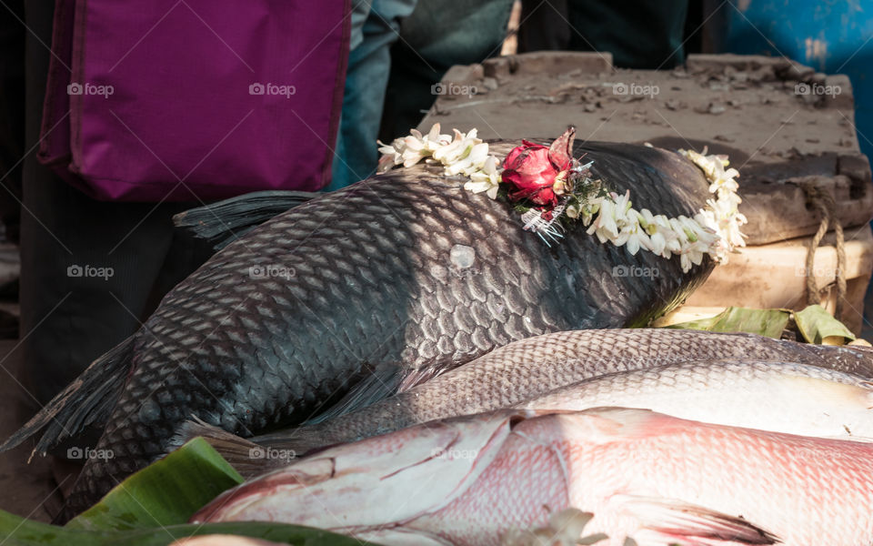 Nalban Food Park, Kolkata Jan 10 2019 - A fish decorated with flowers at Bengal Fish Festival is organized by Department Fisheries to promote opportunity to Sea Food Industry to showcase their product