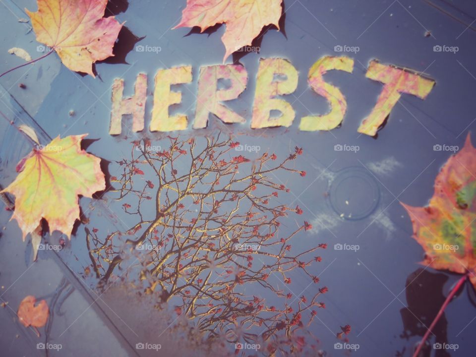 Herbst - German word for autumn