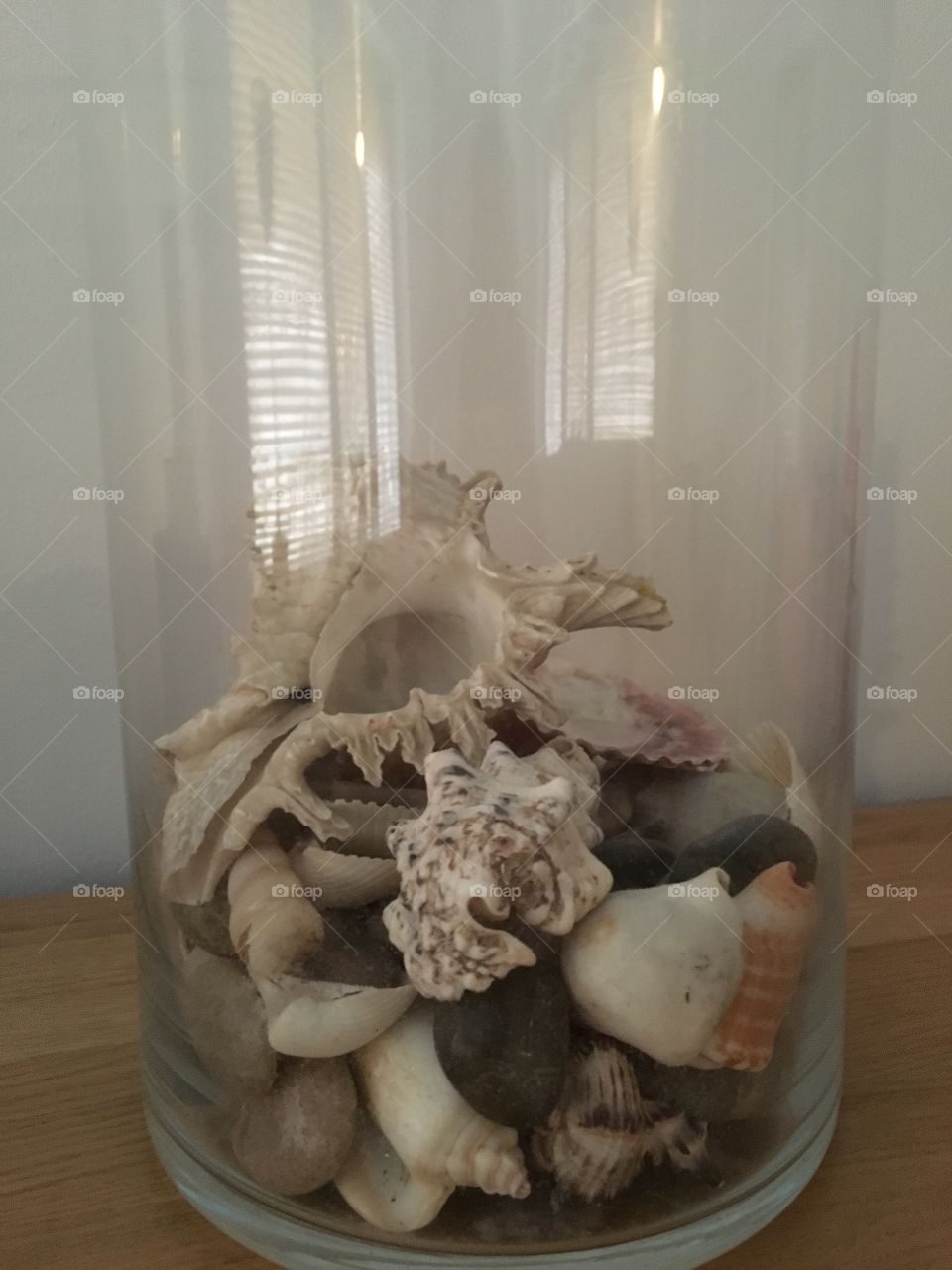 Seashells in glassbowl
