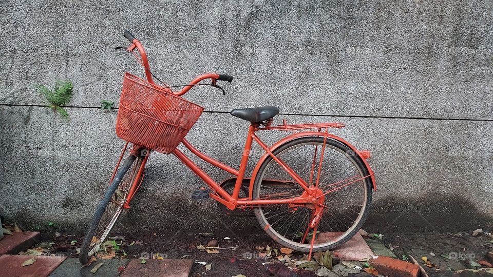 orange bicycle