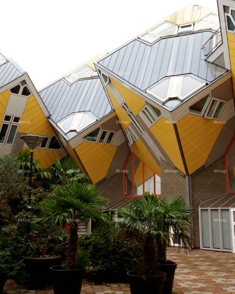 box houses in Rotterdam