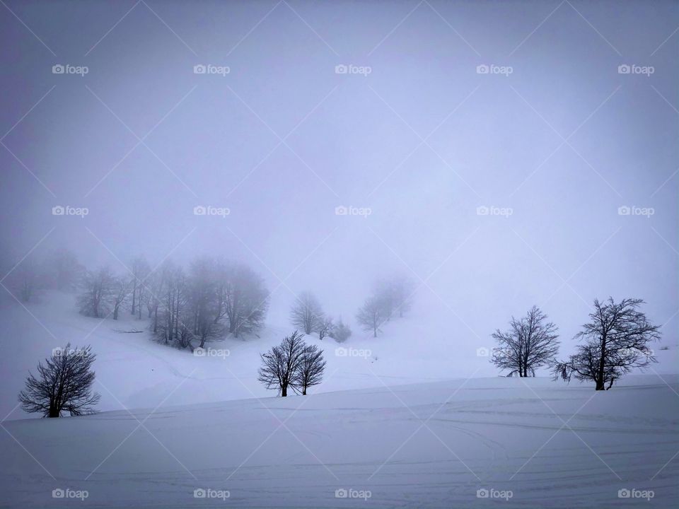 Fog in winter