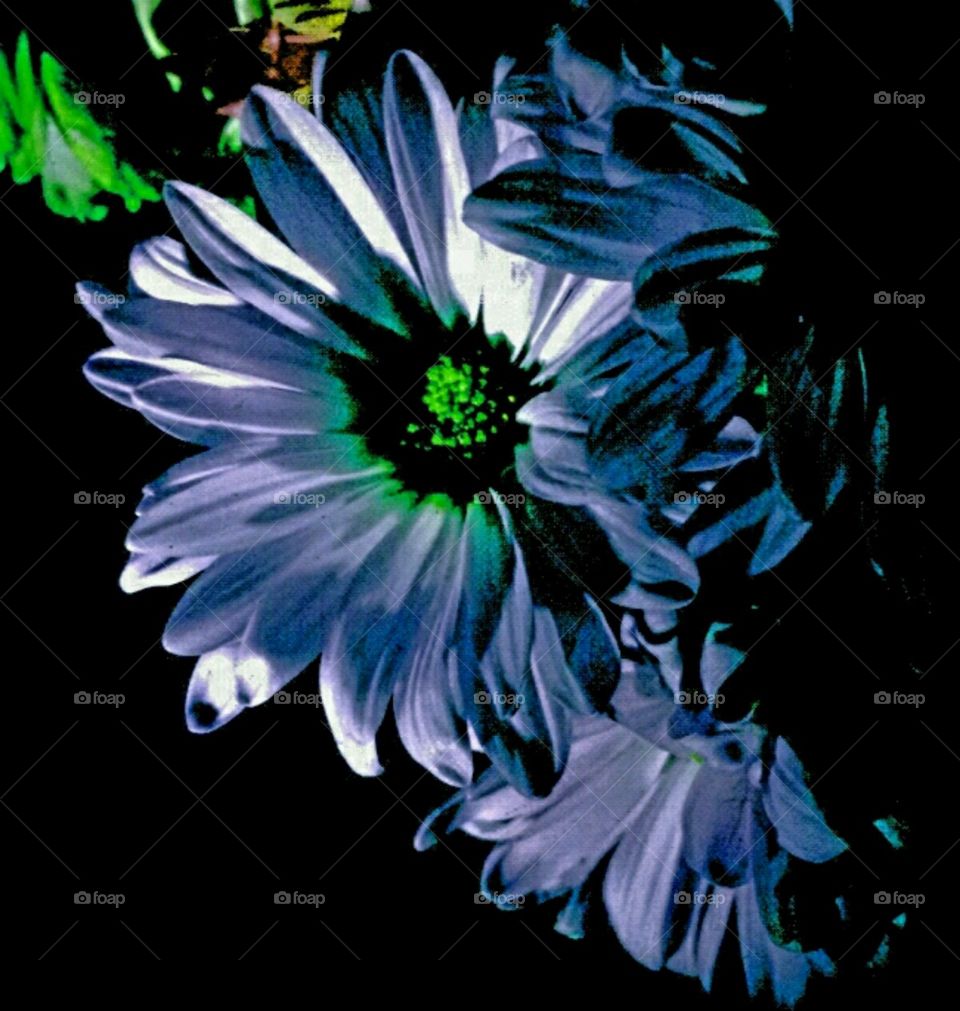 high society. flashlight effects