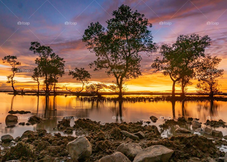 Beautiful Sunset And Reflection Tree