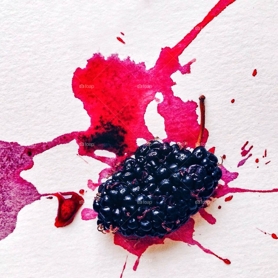 Mulberry splash.. Mulberry splash on a white paper background.