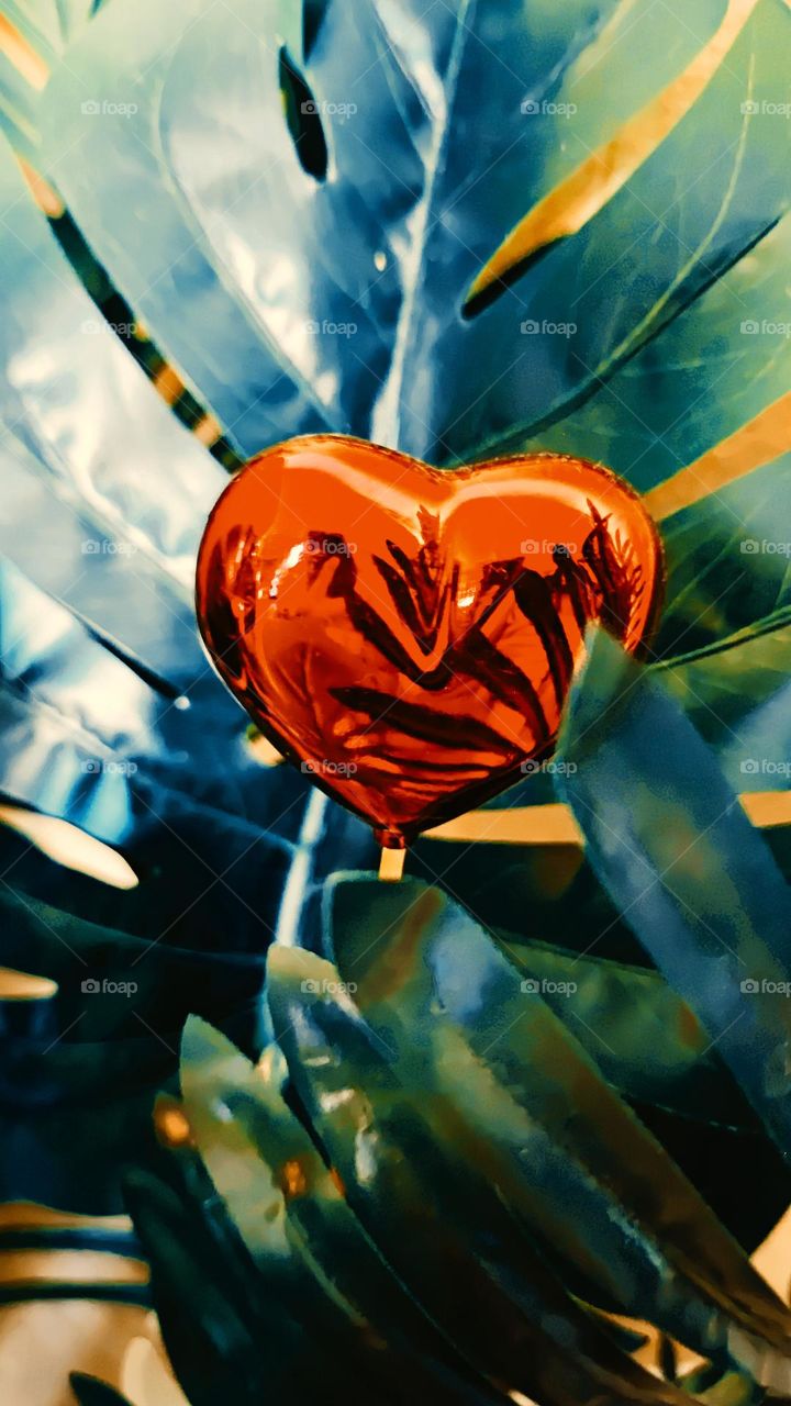 Širdelė. The Heart.