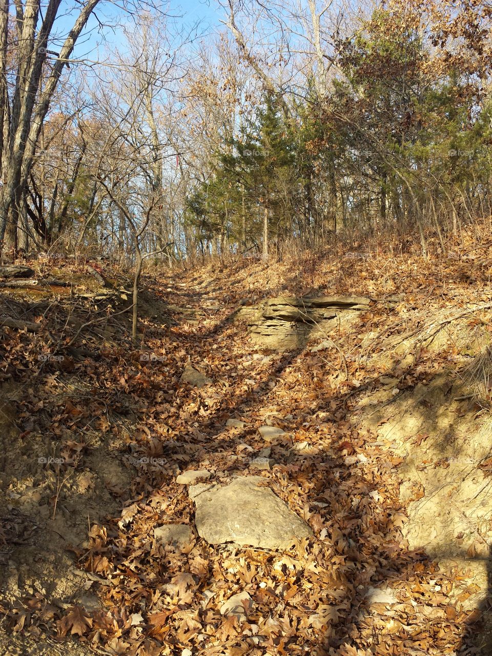 monkey mountain views