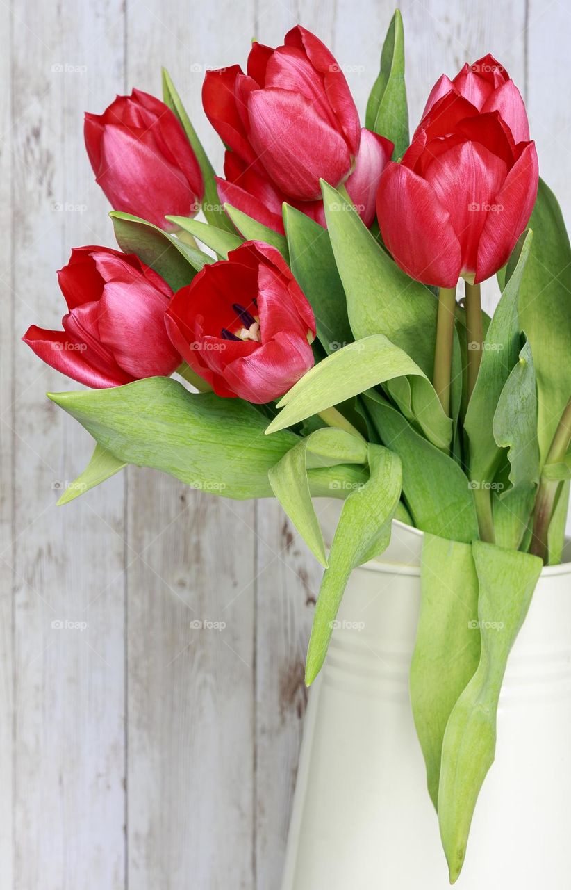 Red tulips with green leaves in a metal jug